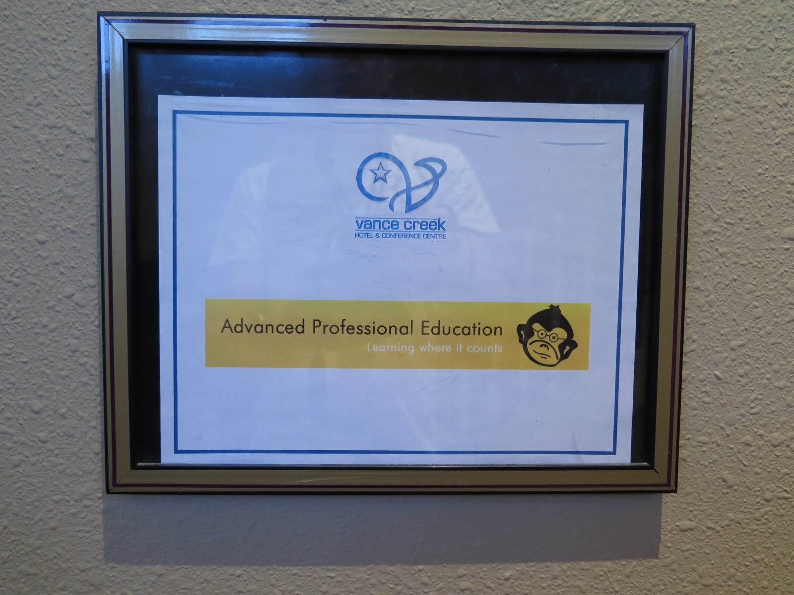 Advanced Professional Education